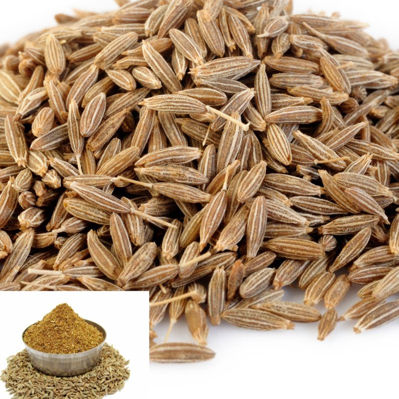 Premium Cumin Seeds and Powder Manufacturer, Supplier, & Exporter